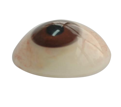 秦皇岛微雕义眼定制